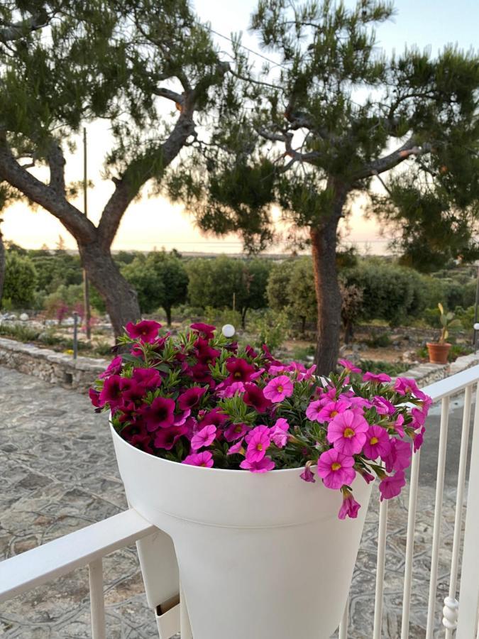 Monte Simeone Bed & Breakfast Polignano a Mare Exterior photo