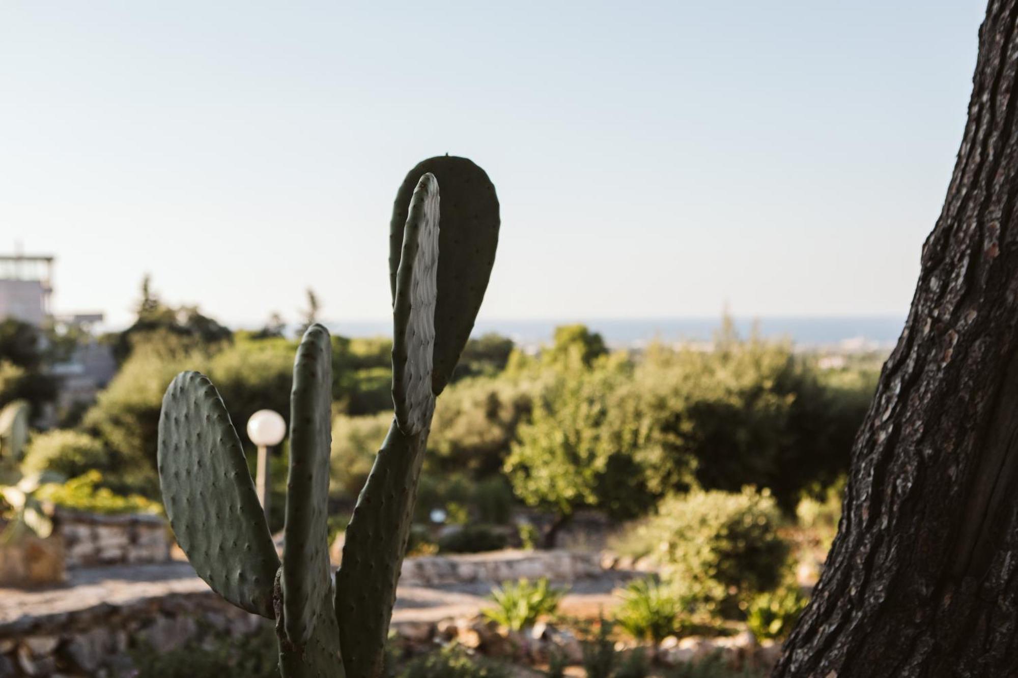 Monte Simeone Bed & Breakfast Polignano a Mare Exterior photo